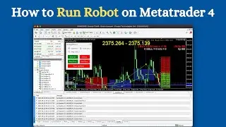 How to Run Robot on Metatrader 4