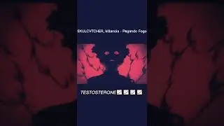 SXULCVTCHER, killanoia - Pegando Fogo