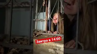 Психушка-бедная девочка