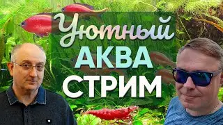Уютные аква-посиделки
