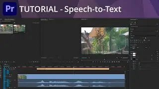 Premiere Pro Tutorial - Speech-to-Text