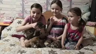Алиса с сестричками кое с кем Вас познакомит.