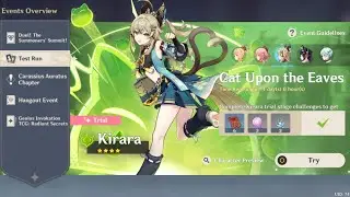 Test Run 3.7 ▢ KIRARA [Support] ▢ Cat Upon The Eaves [GENSHIN IMPACT]