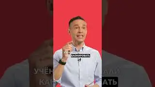 Как вы относитесь к благородным сырам с плесенью? 🧀