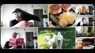 DITL: 50% & Dollarama Haul. Chit Chat. Zia Fishy Babies...& More