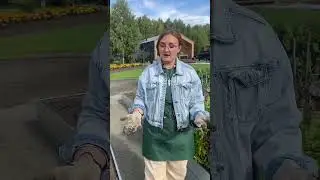 Когда вносить удобрения осенью? 