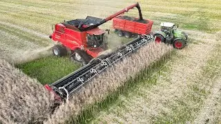 Case IH 9260 Axial-Flow with 50ft. wide MacDon FD250 Header harvesting Canola | Harvest 2024