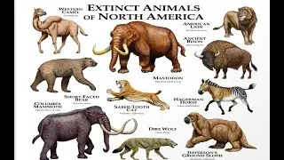 North American Extinct Animals