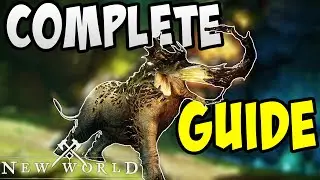 Complete Savage Divide Guide | Boss Mechanics and More