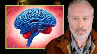 Dr. Michael Masters | A Telepathic Information Download Experience