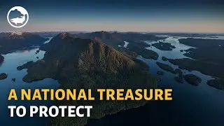 The Great Bear Sea: A Natural Treasure to Protect