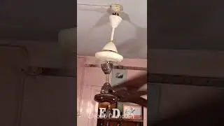 😎 