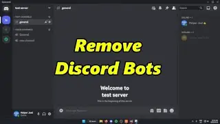 How To Remove A Bot From Discord Server