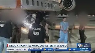 Drug kingpin El Mayo arrested in El Paso