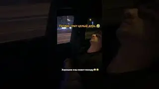 Литвин спит целый день 🤣👍
