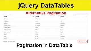 08 - DataTable pagingType option || Alternative pagination in DataTable with Source Code