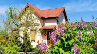 ☀️ Жаркий День в  Загородном Доме 🏠Яркий Сад. Рецепт творожных галет 
