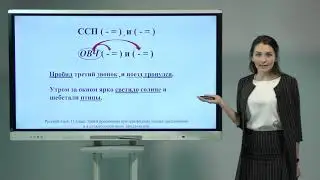 11 класс.Русский язык.Знаки препинания при однородных членах предложения и в сложносочин.предложении