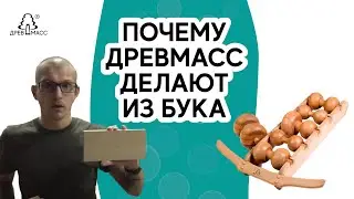 Почему бук применяют в производстве массажера Древмасс. Бук, дуб, ясень - преимущества и недостатки.