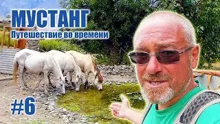 Деревня где живут только лошади - МУСТАНГ: Путешествие во времени. Часть #6