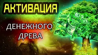 Активация ДЕНЕЖНОГО ДРЕВА ЖИЗНИ | Медитация для привлечения денег