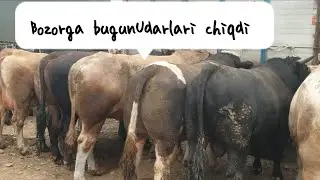 Zarkent mol bozor. Udar novoslar chiqdi. 30.06.202
