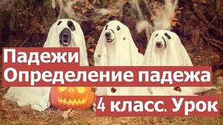 Урок. Падежи. Определение падежа.  Русский язык 4 класс. 