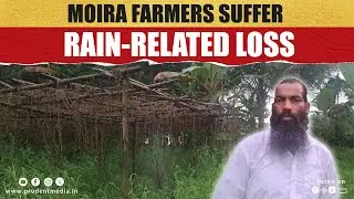 Heavy Rains Leave Moira Farmers Reeling