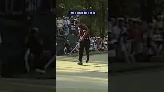 ICONIC from Tiger Woods 🙌