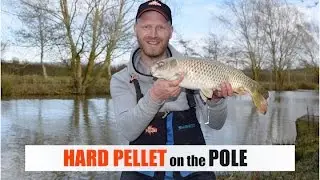 LONG POLE and HARD PELLET - Rob Wootton