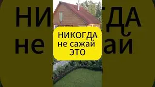 Никогда не сажай это на своем участке!  