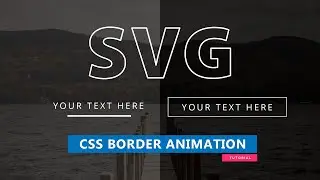 SVG Button Stroke Animation | How to make | SVG Animation | 2021