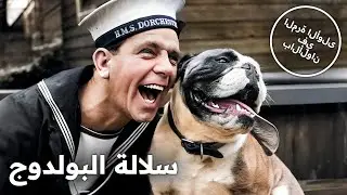 سلالة البولدوج | فيلم كوميدي