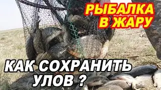 РЫБАЛКА  в ЖАРУ. Как СОХРАНИТЬ УЛОВ? Холодильник для рыбалки, путешествий, отдыха на природе.