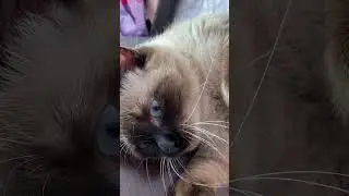 Жить хорошо, а хорошо жить ещё лучше.