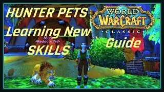 WoW Classic HUNTER PETS Guide - How to learn BITE and CLAW rank 2