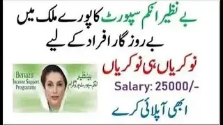 BISP Jobs July 2021 Apply Online www.bisp.gov.pk