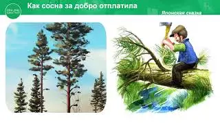 2 класс. Урок самопознания 32 В мире красоты