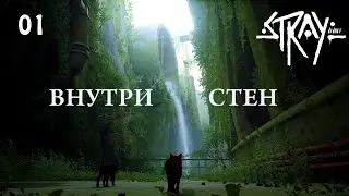 Stray #01 - Внутри стен