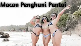 INI YANG DI LAKUKAN TRIO MACAN SAAT PANTAI SEPI | PANDAWA BEACH