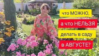 Что можно, а что уже нельзя делать в саду в августе?