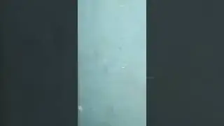ТЕЗ КУРИНГ. ФОХИШАЛАРНИ, ХОНАСИДА ҮШЛАБ ОЛИШДИ ЖОНЛИ ЭФИР