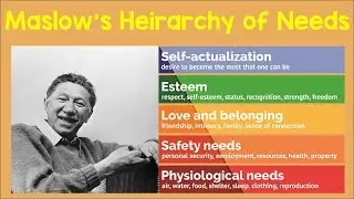 Maslow's Hierarchy of Needs | Animation