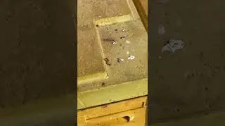 В этом году зимовка радует 