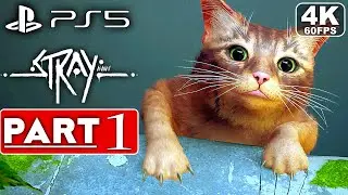 STRAY PS5 Gameplay Walkthrough Part 1 [4K 60FPS] -  No Commentary (FULL GAME)