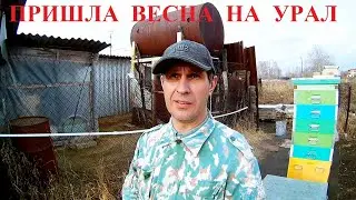 На пасеку пришла весна