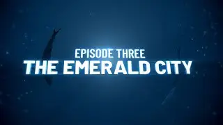 The Deep: The Emerald City