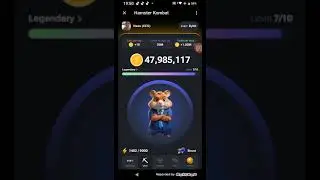 Карта комбо (новая ) Hamster Combat. Заработок. Новая карта Хамстер Комбат