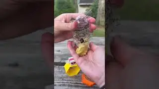 So satisfying! 