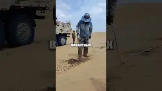 Превращают пустыни в леса